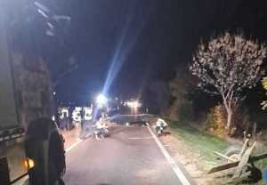 whatsapp image 2024 10 29 at 19 54 15 - Accident mortal pe DN 7! Impact violent între o autoutilitară și o căruță
