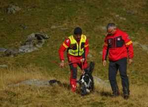 19b5037a 0933 4d38 ac09 9eb9e9446ceb - Cei mai inteligenți și curajoși câini din România, în tabără de pregătire în Argeș
