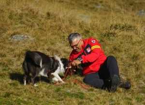 76e2b7ff add9 461b be9c 645ce85d8ce1 - Cei mai inteligenți și curajoși câini din România, în tabără de pregătire în Argeș