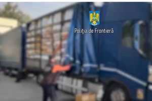 cats 1 - Bunuri contrafăcute de peste șase milioane de lei, descoperite de polițiștii de frontieră