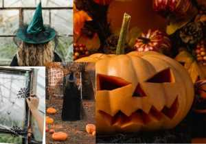 Sursă foto: pexels.com