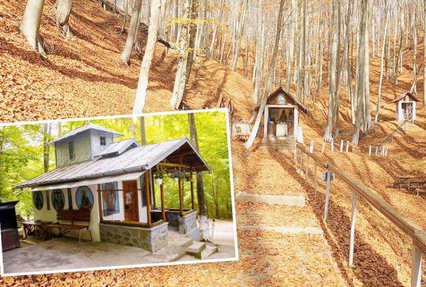 izvoarele de leac de la Crampotani 7 izvoare Sursă foto: editia tipărita