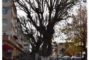 Sursă foto: FB Primăria Orașului Mioveni.