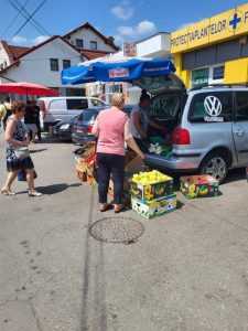 0510efa8 2486 4bc0 b748 15b535e3b6b6 - Sute de controale efectuate de polițiștii locali piteșteni în luna octombrie