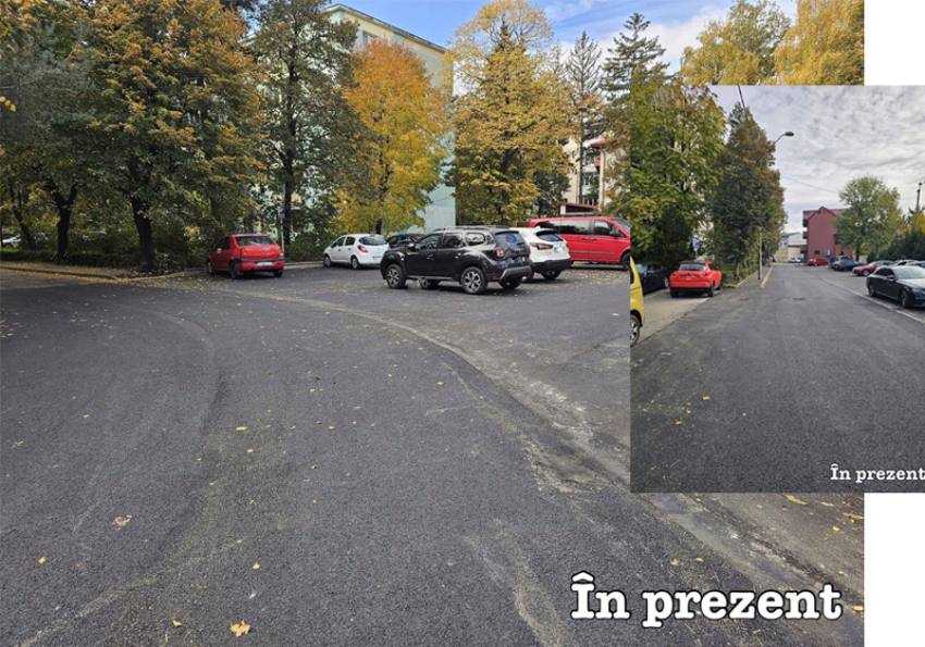 deschidere strada florilor Foto: FB Cristian Gentea