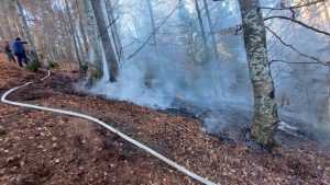 d5bbb5f8 eb33 43d1 a2fe 6462349faa4d - (VIDEO) Incendiu într-o pădure din comuna Rucăr