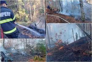 (VIDEO) Incendiu într-o pădure din comuna Rucăr 1 page 2 - (VIDEO) Incendiu într-o pădure din comuna Rucăr