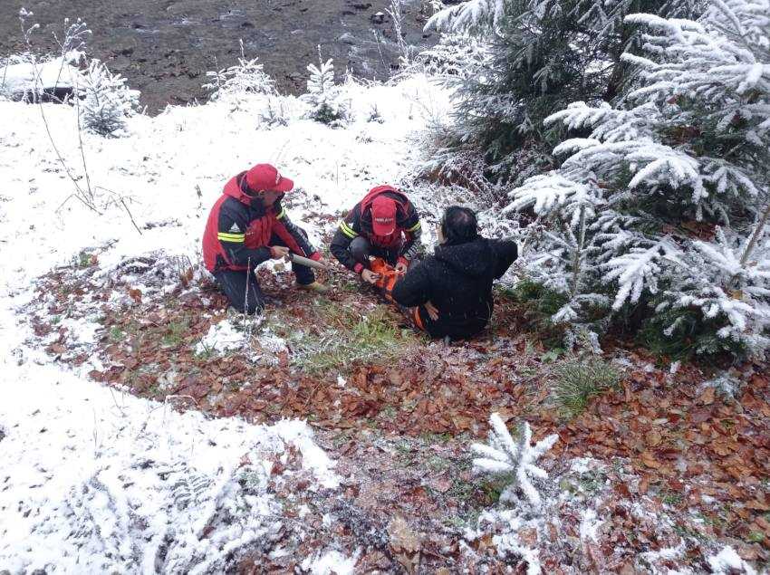 (Video) Intervenție Salvamont Argeș în masivul Iezer-Păpușa. Femeie de 60 de ani rănită! 1 interventie Salvamont Argeș