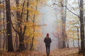 Cum va fi vremea până la jumătatea lunii decembrie 26 PWM1MjJjZDNjMGZmN2Y0MGY4NTk0YTFjNDZmYWVjMzRi.thumb - Cum va fi vremea până la jumătatea lunii decembrie