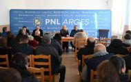 Alina Gorghiu PNL
