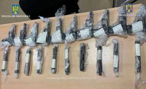 1731928918333 19928 S4 - Turc de 25 de ani, prins cu zece pistoale în cabina TIR-ului la frontieră