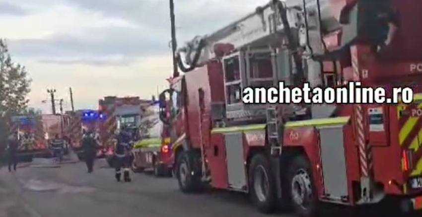 incendiu la Bradu incendiu la Bradu