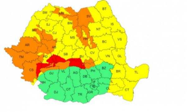 cod rosu viscol ninsori anm 