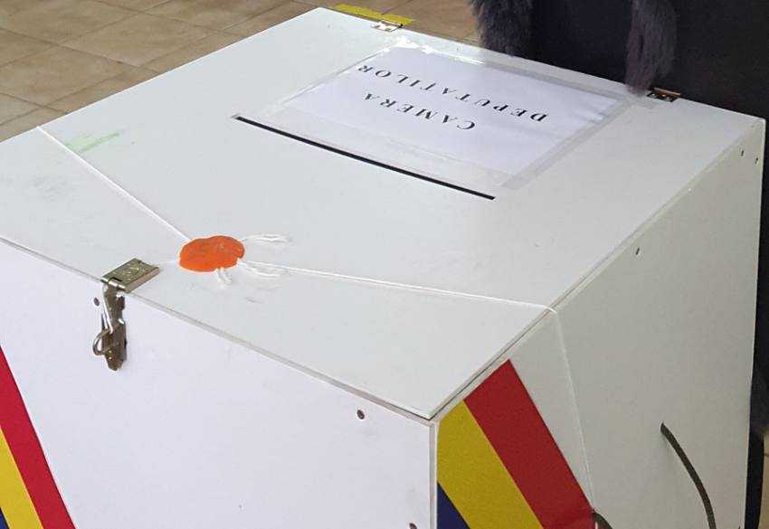 alegeri camera deputatilor generic Sursă foto: FB Alina Gorghiu