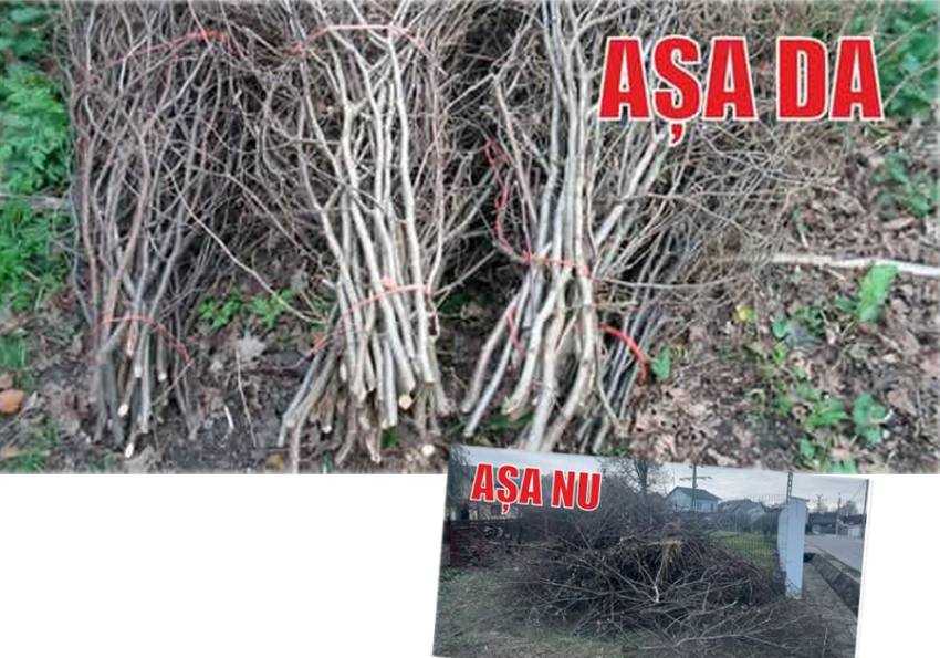 surcele pachet MIoveni 1 gunoi Sursă foto: FB Primăria Orașului Mioveni.