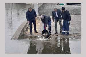 Lacurile din comuna Bradu au fost repopulate cu puiet de crap și novac 19 la Bradu