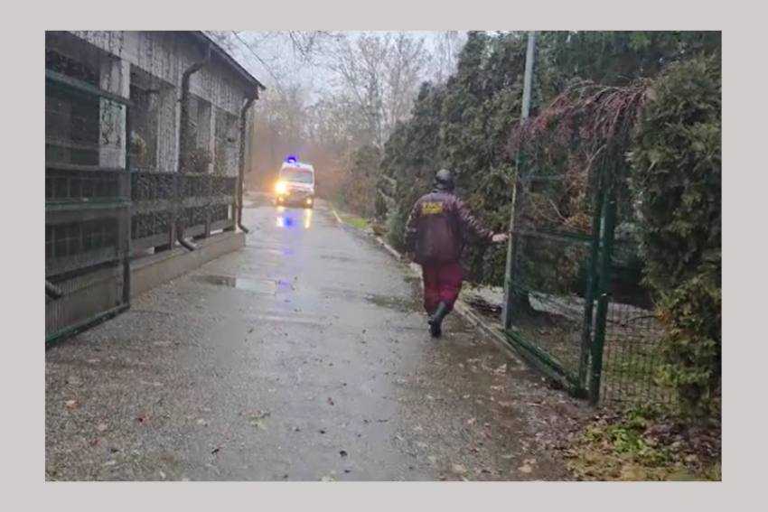 Untitled Project 4 - Cristian Gentea: „Am dispus suspendarea temporară a activităților la Grădina Zoologică pentru a putea desfășura o anchetă amănunțită”