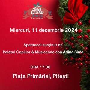 targ Craciun Pitești