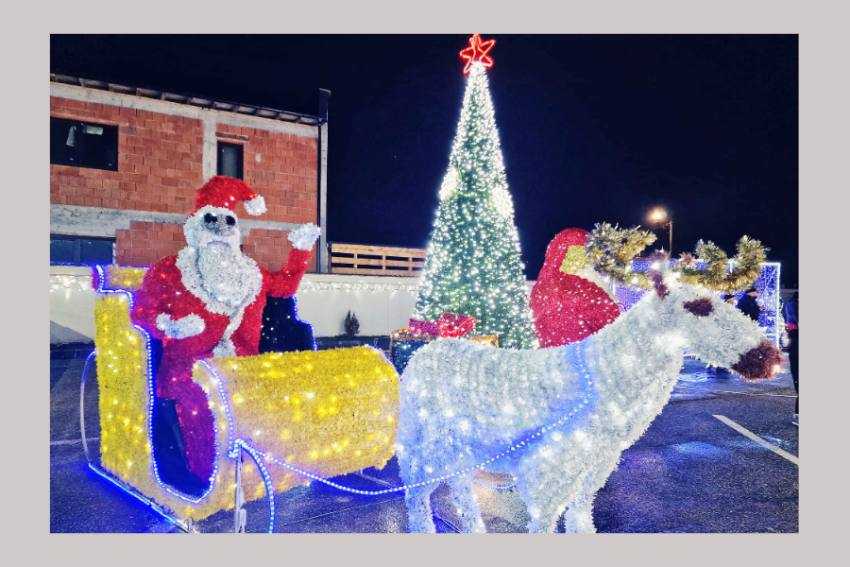 Bradu iarna Bradu iarna