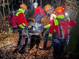 Tragedie în Bughea! Bărbat de 75 de ani găsit mort în pădure 1 4f84636a ede9 4d94 8b66 7d6e88a9d337 - Tragedie în Bughea! Bărbat de 75 de ani găsit mort în pădure