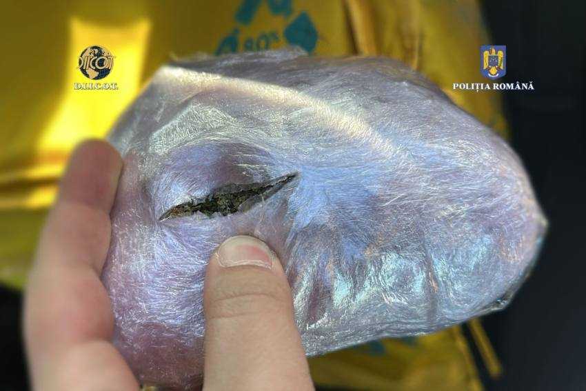 depistat droguri Argeș
