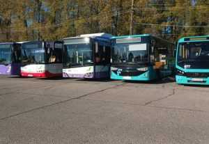 Atenție, călători! Programul de circulație al autobuzelor pentru a doua zi de Rusalii 1 Sursă foto: FB Primăria Municipiului Pitești.