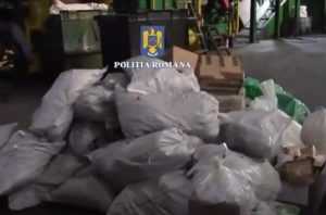 (VIDEO) Aproape 3 tone de droguri, distruse de Poliția Română 1 cats 6 - (VIDEO) Aproape 3 tone de droguri, distruse de Poliția Română