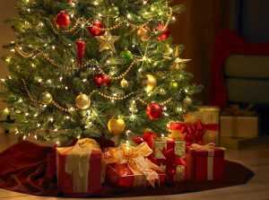 cats 1 - Cadouri pe care să nu le oferi de Crăciun! Aduc ghinion