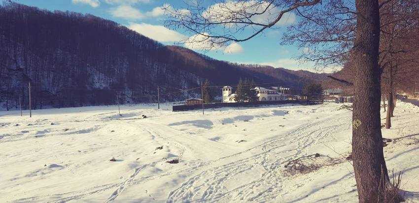 Cât costă o noapte de cazare de sărbători la pensiunea Monicăi Anghel din Berevoești 2 monica anghel pensiune - Cât costă o noapte de cazare de sărbători la pensiunea Monicăi Anghel din Berevoești