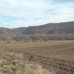 Sursă foto și video: anchetaonline.ro si MJ