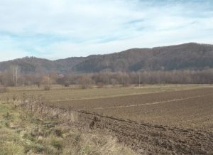 Sursă foto și video: anchetaonline.ro si MJ