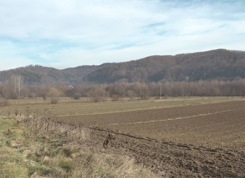 Sursă foto și video: anchetaonline.ro si MJ