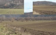 Sursă foto și video: anchetaonline.ro si MJ