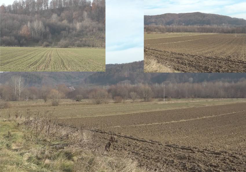 teren deschidere material 1 Sursă foto și video: anchetaonline.ro si MJ