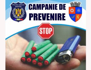 ursă foto: FB Primăria Orașțului Mioveni.