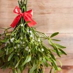 Semnificaţia vâscului în noaptea de Revelion 10 cats 1 - Semnificaţia vâscului în noaptea de Revelion