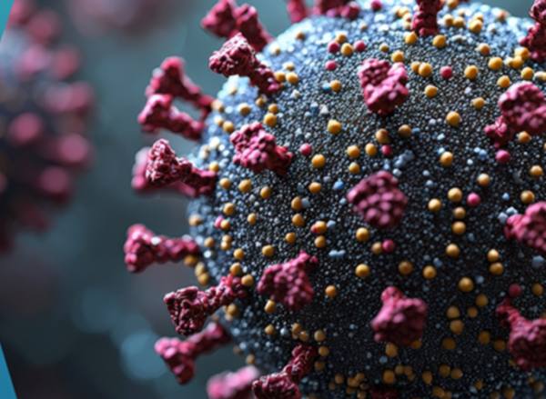 Human Metapneumovirus HMPV 850x479 1 - Cod galben de ceață emis de ANM pentru mai multe județe din țară