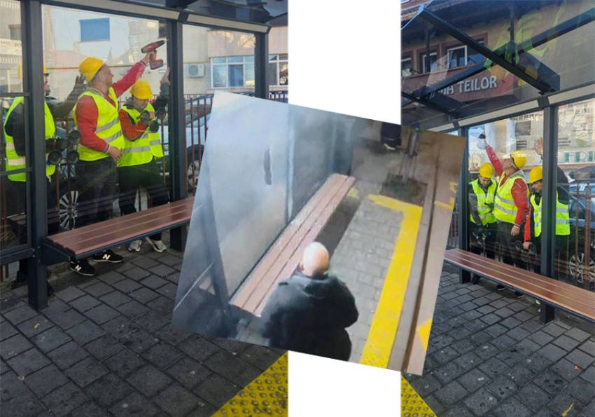 geamula fost inlocuit teilor 2 Sursă foto: FB Cristian Gentea.