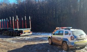 472864185 122185173578175778 3629184407273365692 n - Societate din Argeș, amendată cu 15.000 de lei pentru nereguli silvice