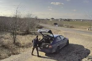 205f2907 abf3 441f 9b8e 52765c0930ee - A abandonat o pisică pe marginea drumului și a fost amendat cu 10.000 de lei