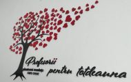 Sursă foto: CJ Argeș.