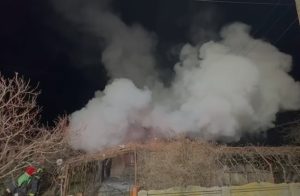 (VIDEO) Două incendii în Argeș! Unul în Ciofrângeni și altul în Poienarii de Argeș 30 cats 3 - (VIDEO) Două incendii în Argeș! Unul în Ciofrângeni și altul în Poienarii de Argeș