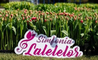 Simfonia Lalelelor