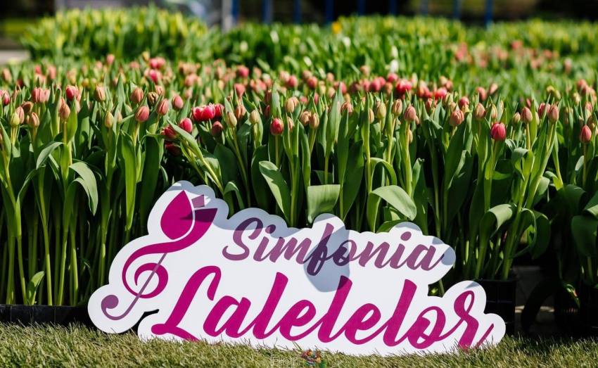 Simfonia Lalelelor