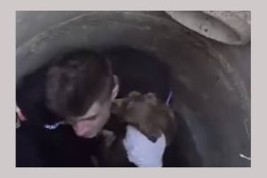 (Video) Cățel blocat într-o gură de canal, salvat de jandarmii argeșeni 1 catel salvat de jandarmi