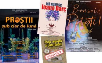 Sursă foto: Teatrul AL Davila din Pitești.