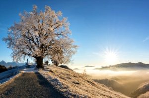 cats 1 - ANM a anunțat cum va fi vremea în luna februarie