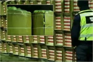 Peste 65.000 de pachete de țigări de contrabandă ascunse printre varză 4 page 1 - Peste 65.000 de pachete de țigări de contrabandă ascunse printre varză