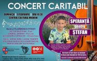 concert caritabil stfan nae