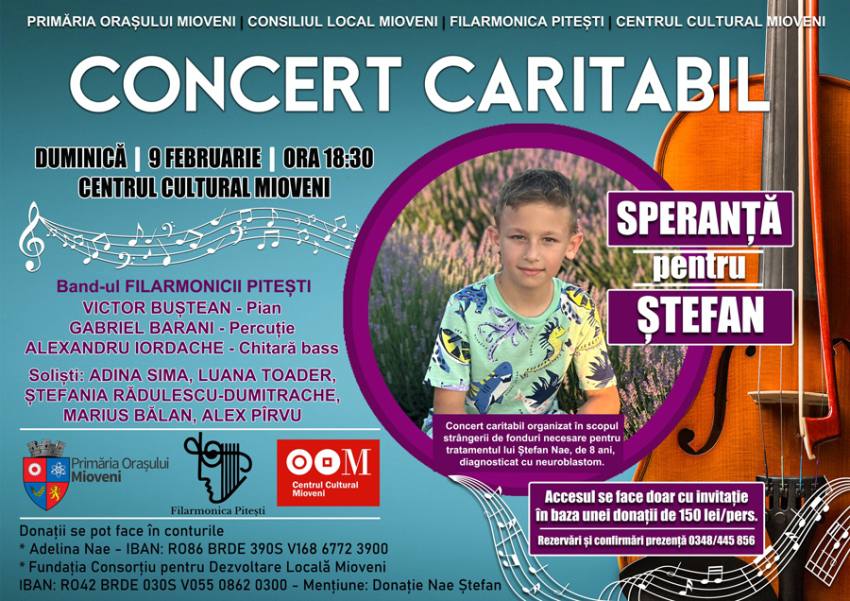 deschiderfe concert stefabn nae concert caritabil stfan nae